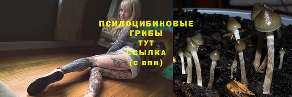ALPHA-PVP Алзамай