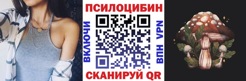Псилоцибиновые грибы прущие грибы Бежецк